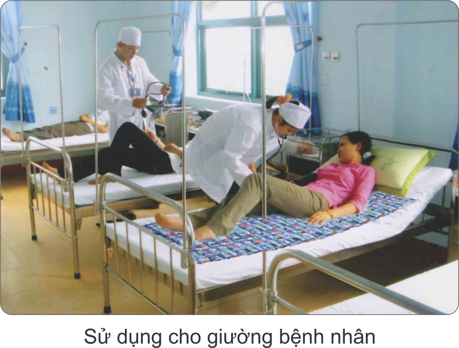 Đệm, gối nước Mimosa - Món quà ý nghĩa cho mùa hè — ảnh 3/4