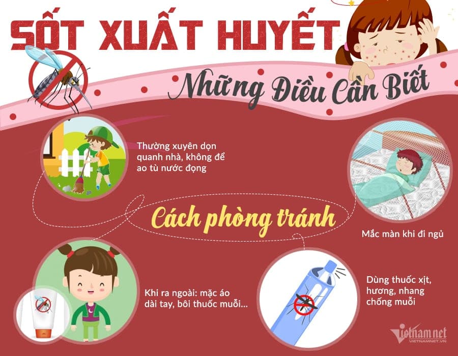 Đại dịch sốt xuất huyết: phải đọc để bảo vệ gia đình — ảnh 3/3