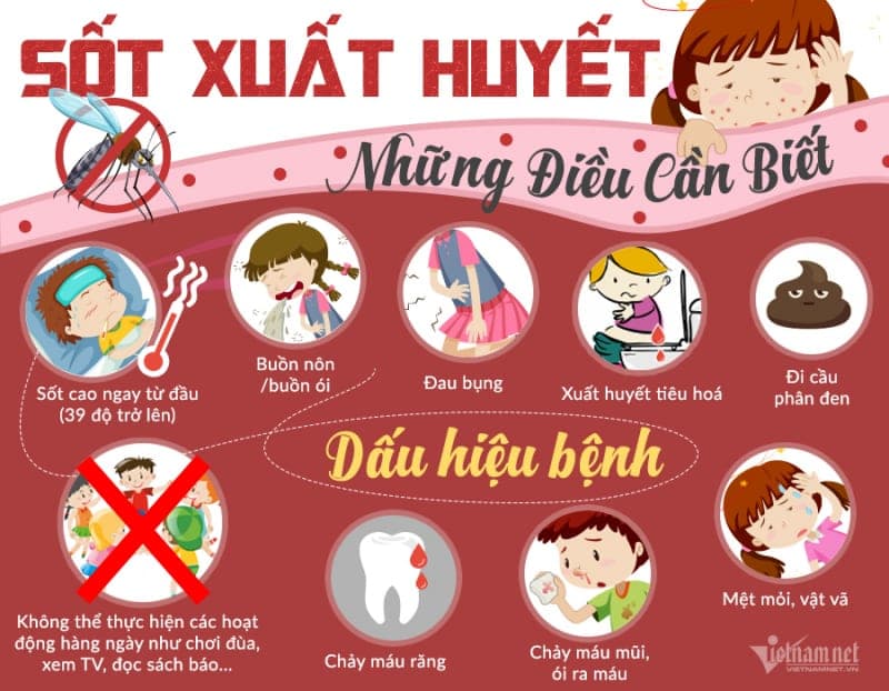 Đại dịch sốt xuất huyết: phải đọc để bảo vệ gia đình — ảnh 1/3